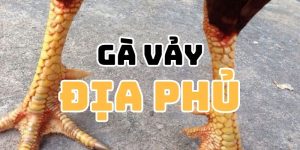Gà Vảy Địa Phủ - Bảo Chứng Cho Ngôi Vị Vô Địch Làng Kê Đấu