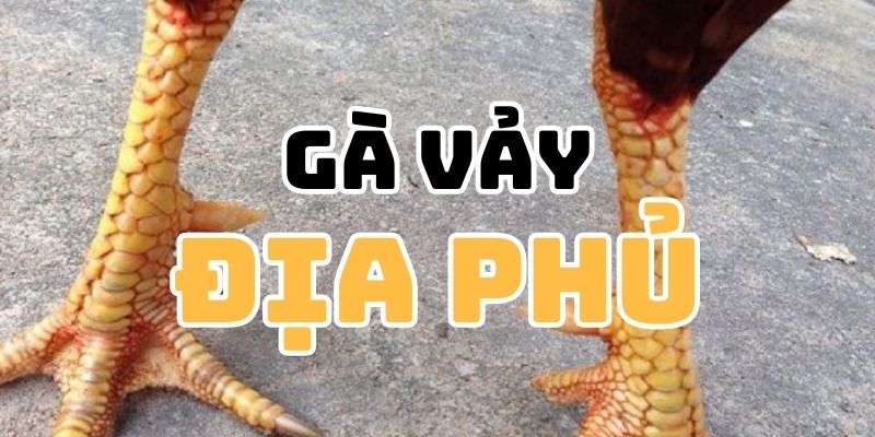 Gà Vảy Địa Phủ - Bảo Chứng Cho Ngôi Vị Vô Địch Làng Kê Đấu