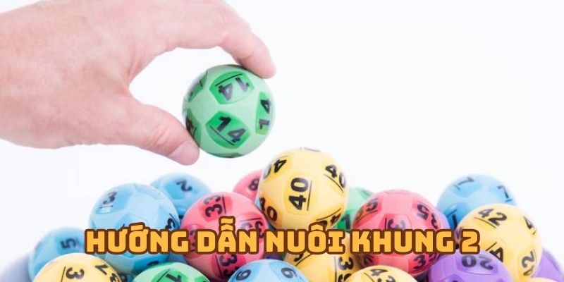 Thực chiến nuôi khung 2
