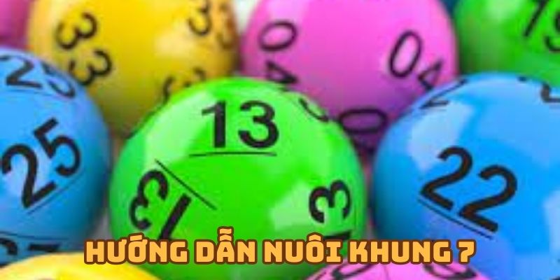 Thực chiến nuôi khung 7